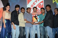 Power Movie Triple Platinum Disc Funtion Photos